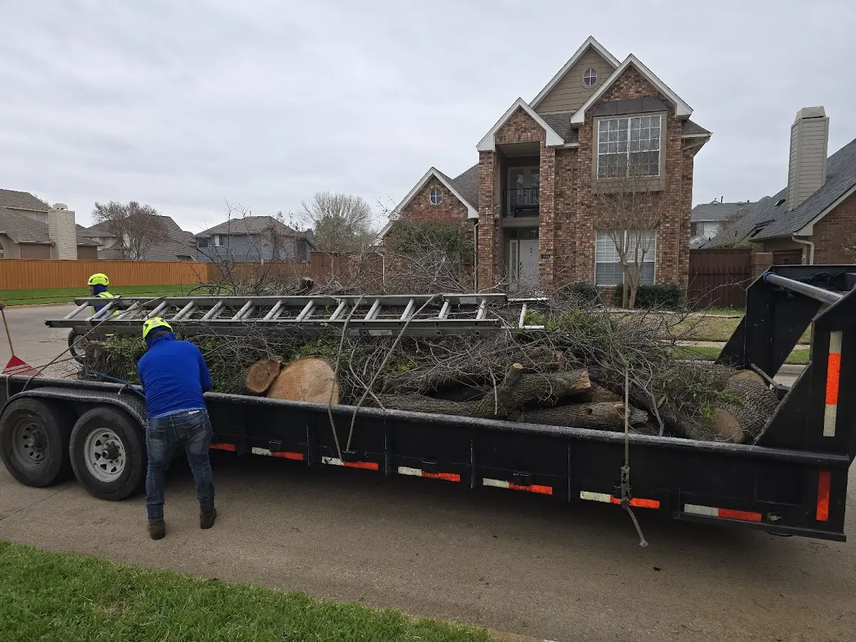 Expert Tree Removal with proper safety equipment in Kernersville